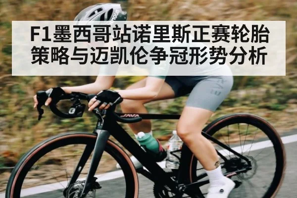 F1墨西哥站诺里斯正赛轮胎策略与迈凯伦争冠形势分析
