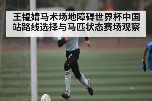 王韫婧马术场地障碍世界杯中国站路线选择与马匹状态赛场观察